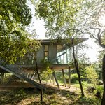 © Wilkinson Eyre Architects & Julian Abrams