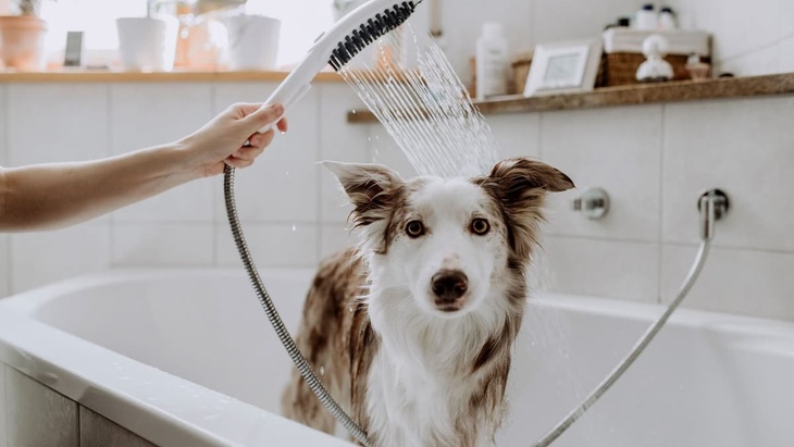 Zdroj fotografií: Hansgrohe Zdroj fotografií: Hansgrohe