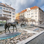 Dejvice Zdroj: PSN s.r.o.