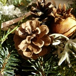 Na tvorbu vánočních dekorací lze použít plody ze zahrady. Zdroj: Lucie Peukertová