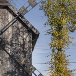 Větrnný mlýn přestavěli na rodinný dům. Ráz historické dřevostavby zachovali Foto: Rafał Chojnacki