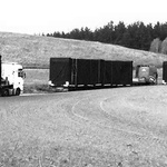 Dům přivezli na kamionech. Dřevěné moduly poskládali a mají bydlení v krásné přírodě Foto: Emilia Durka-Zielińska