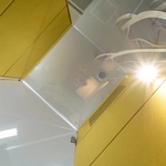 Mikrokanceláře MICROOFFICE UNIQ oceněny v soutěži IF Design Awards, zdroj foto SilentLab