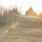 Černý plášť chrání dům mezi ořešáky. Vlnitou mají fasádu i střechu Foto: Sirokai Levente