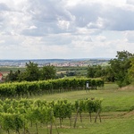 Hliněný dům z 19. století spojili s moderní dřevěnou bohatě prosklenou přístavbou Foto: Romana Fürnkranz, Andi Breuss