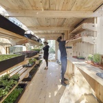 Solární skleník: inspirace pro vaši zahradu a možná i budoucnost světa  Foto: Adrià Goula
