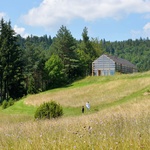 Skleník, stodola nebo rodinný dům? Dřevostavba ladí i s přírodou Foto: Miran Kambič