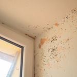 Větrání ventilačkou může mít v zimě za následek tvorbu plísní na ostění okna Zdroj: AdobeStock.com - marco