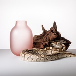 Foto: DESIGNBLOK