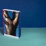 Foto: DESIGNBLOK
