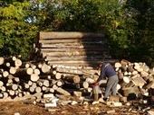 Topíte letošním čerstvým dřevem? Změřili jsme, kdy je dříví vhodné k vytápění