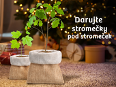 Darujte stromy pod stromeček, foto: Nadace dřevo pro život