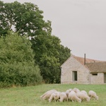 Přestavěli ruinu. Na farmě jako z pohádky umožňují postiženým poznat život na venkově Foto: Lorenzo Zandri