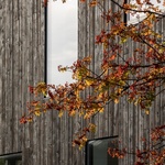 Digitalizace a dřevostavby? Dánští architekti ukazují novou úroveň eko-domů Foto:   Adam Mørk