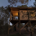 Domek pro dvě hrdličky je skromný rozměry, potěšující výsledkem. Jako hnízdo na stromě Foto: João Carranca