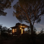 Domek pro dvě hrdličky je skromný rozměry, potěšující výsledkem. Jako hnízdo na stromě Foto: João Carranca