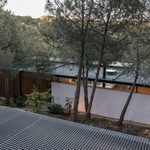 Modulární rodinný dům posazený mezi stromy kompromisy neřeší. Foto: Paco Marín