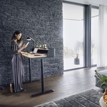 Sestava se:flex, se:desk home. Foto: Konsepti