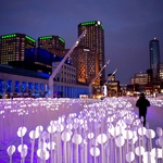 Když o Vánocích vykvete louka světel. Zázračná instalace v centru města pohladí na duši. Foto: KANVA architecture