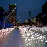 Když o Vánocích vykvete louka světel. Zázračná instalace v centru města pohladí na duši. Foto: KANVA architecture