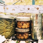 Funkční, moderní, nenáročné, dokonalé. Pokoje v dubovém lese vytvořili z přírodních materiálů. Foto: Agnes Clotis