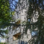 Švýcarský bytový dům na to jde jinak. Nechce zapadnout, ale vyniknout. A je ze dřeva. Foto: Jürg Zimmermann