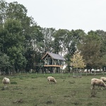 Prosklená chata usazená na pastvině. Unikátní zážitek v přírodě zaručen. Foto: Jakub Hrab