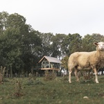 Prosklená chata usazená na pastvině. Unikátní zážitek v přírodě zaručen. Foto: Jakub Hrab