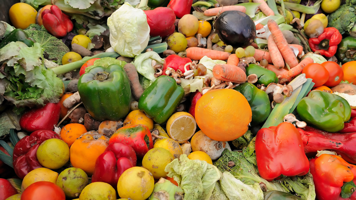 Zajímá Vás, jak doma efektivně kompostovat? Navštivte veletrh FOR WASTE & WATER