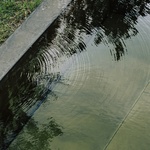 Dům, který se nyní skládá ze dvou vzájemně propojených objemů, je navržen s ohledem na budoucí rozšíření. Není vyloučeno, že se v dalších letech rozroste o třetí nebo čtvrtý modul, čímž se posílí koncept skládaného vyvýšeného domu a jeho propojených prostor. Foto: Amaury Laparra