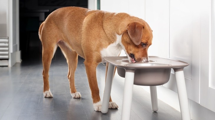Zdroj: Shutterstock.com Zdroj: Shutterstock.com