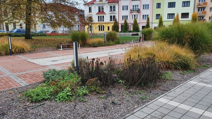 Ilustrační obrázek, Trutnov. Foto D. Kopačková, redakce Ilustrační obrázek, Trutnov. Foto D. Kopačková, redakce