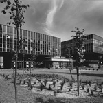Historické Pragerovy kostky 1975. Foto: Archiv IPR Praha