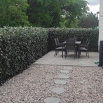 Zelené oplocení za jeden den? AS-GREEN FENCE – okamžité řešení živého plotu. Zdroj: ASIO