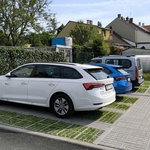 Zelené oplocení za jeden den? AS-GREEN FENCE – okamžité řešení živého plotu. Zdroj: ASIO