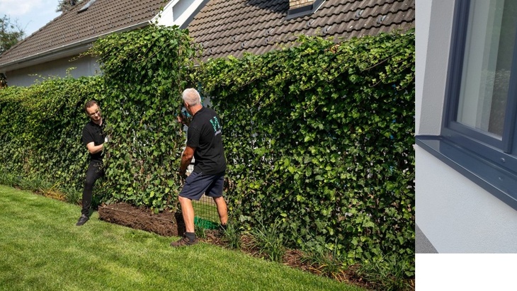 Zelené oplocení za jeden den? AS-GREEN FENCE – okamžité řešení živého plotu. Zdroj: ASIO