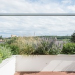 Pohled z terasy. Foto: Martin Čeněk Pohled z terasy. Foto: Martin Čeněk