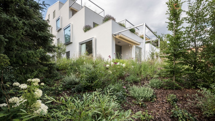 Foto: Martin Čeněk Foto: Martin Čeněk