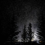 Nikdo nebude hlasovat pro otrávené ryby v rybníce; k smrti vyděšeného psa; uhynulého srnce vpleteného do drátů. Nikdo nesouhlasí se sirným zápachem; dýmem; utrhanými prsty a těmi několika požáry po neopatrné manipulaci. Ale &bdquo;Ach, ano&ldquo;, ohňostroje krásné jsou. Foto: Daan Roosegaarde