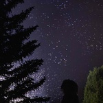 Protože přejídat se sladkostmi, pěchovat se tučným jídlem a trávit dny na gauči sledováním pohádek? To: &bdquo;Ach, ano…&ldquo; značí, že my moc dobře víme, že to v pořádku není. Protože ten nedostatek pohybu, tučná strava a její kalorie, to nám vlastně moc neprospívá. Foto: Daan Roosegaarde