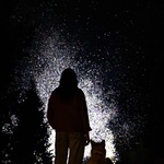 Bez toho &bdquo;Ach, ano.&ldquo; Pocitu vědomí, že za naši radost platí velkou cenu i ti, kteří mluvit nemohou. SPARK jsou prostě jiné. Alternativa k ohňostrojům, která nikoho nebolí. Foto: Daan Roosegaarde