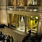 Vánoční stromek, který v zimních zahradách narostl do krásy. Zdroj: Studio Roso