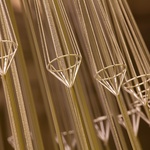 Vánoční stromek, který v zimních zahradách narostl do krásy. Zdroj: Studio Roso