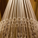 Vánoční stromek, který v zimních zahradách narostl do krásy. Zdroj: Studio Roso