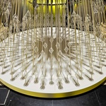 Vánoční stromek, který v zimních zahradách narostl do krásy. Zdroj: Studio Roso