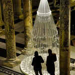 Vánoční stromek, který v zimních zahradách narostl do krásy. Zdroj: Studio Roso