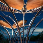 Květy na sněhu? Pohádkovou představu změnili v realitu. Vypadají kouzelně a přináší radost. Zdroj: TILT