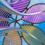 Květy na sněhu? Pohádkovou představu změnili v realitu. Vypadají kouzelně a přináší radost. Zdroj: TILT