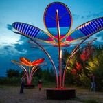 Květy na sněhu? Pohádkovou představu změnili v realitu. Vypadají kouzelně a přináší radost. Zdroj: TILT