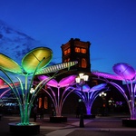 Květy na sněhu? Pohádkovou představu změnili v realitu. Vypadají kouzelně a přináší radost. Zdroj: TILT